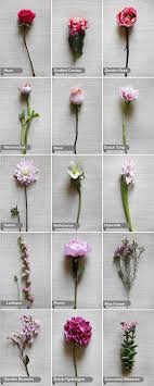 Check spelling or type a new query. Types Of Red Flowers For Weddings