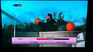 You need to be a member of cka and be logged into the site, to comment on news. Ctv News Toronto S Tom Brown Throws Microphone Into Water With Polar Bears Youtube
