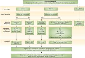 Image result for Sexual Development