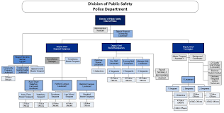 Best Organization Chart Software Jasonkellyphoto Co