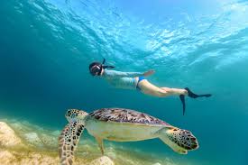 Vis island is surrounded by deep turquoise waters that are so clear you can easily witness underwater life as you snorkel in a serene environment. 14 Of The Best Places To Snorkel In The U S