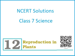 10000+ results for '9th grade'. Ncert Solutions For Class 7 Science Chapter 12 Reproduction In Plants Pdf