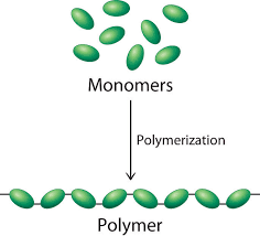 two times the slime fun with polymers discovery express