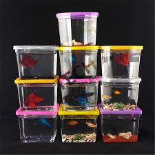 See more of fighters fishlanka on facebook. 10 7 5 8 5cm 10pcs Colorful Betta House Rectangle Fighting Betta Fish Tank Aquarium Fish Not Included Peceras Para Bettas Tank Tank Container Tank Womentanked Meaning Aliexpress