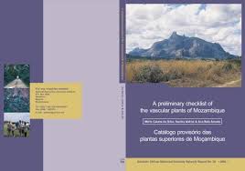 Image result for Chlorophytum macrosporum