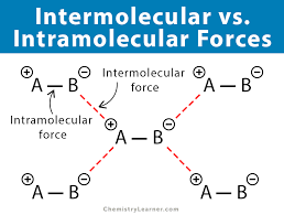 Intra molecular forces, made by amy s., kersee k., and andrea c. Intermolecular Forces Definition Types And Examples
