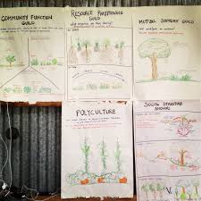 1304 Fg Guilds 1 Forest Garden Permaculture Permaculture Courses