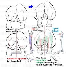 Pin By Vannah On Reference Guide Anatomy Tutorial Drawing Reference Poses Female Anatomy Reference