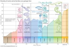 Devonian Extinctions Definition Facts Extinction Britannica Marine Animals