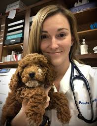 We are excited to introduce you...