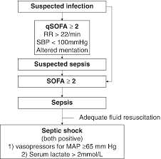 This is a dramatic drop in blood pressure that can lead to. Septic Shock Springerlink