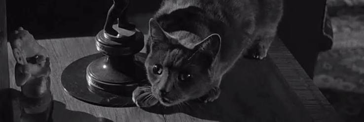 Curse of the Demon (1957) - Cinema Cats