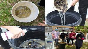 Cara membuat baja organik cecair. Penghasilan Baja Cecair Organik Dari Sisa Makanan Warnai Aktiviti Fasa Awal Ktho Waste To Wealth Hub Utm Newshub