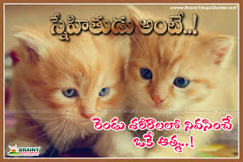Check spelling or type a new query. Friendship Meaning Messages And Quotations In Telugu Language With Hd Cats Wallpapers Brainyteluguquotes Comtelugu Quotes English Quotes Hindi Quotes Tamil Quotes Greetings