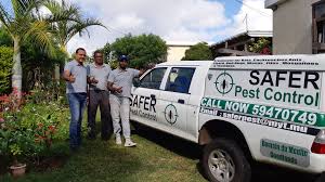 Our services include but are not limited to Safer Pest Control A Pest Control Company In The North Of Mauritius Siloi Net