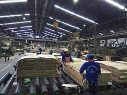 Triplek, plywood, multiplek, mdf, plywood cor / bekisting, film face, jati, mahoni, mindi, tata sengon, tata meranti campur. Lowongan Kerja Masih Dibuka Doni Marketing Pjtki Facebook