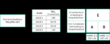 Image result for COPD Staging