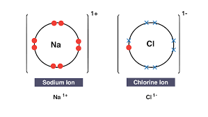 For example, sodium has one valence electron, while chlorine has seven valence electrons. Igcse Chemistry 2017 1 40 Draw Dot And Cross Diagrams To Show The Formation Of Ionic Compounds By Electron Transfer Limited To Combinations Of Elements From Groups 1 2 3 And 5 6 7