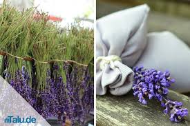 Wasche die lavendelblüten nicht vor dem trocknen, da sie sonst faulen könnten. Blumen Kunstliche Pflanzen Lavendel Getrocknet Vom Bauernhof Lavendelstrauss Lavendelbund Ernte 2020 Mobel Wohnen