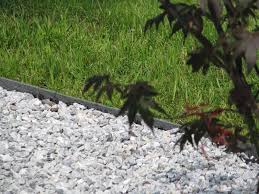 Beeteinfassung Rasen Kante Mahumrandung Rasenkanten Beetumrandung Mahkante Ebay Beetumrandung Rasenkanten Beeteinfassung