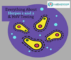 Usually the virus is normant in the. 50 Off On Hsv Test Cost In India Starting From 700 Only