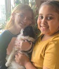 Our Favorite Breed Is Rescued