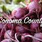 Santa Rosa Saturday Farmers Market event image