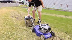 How to dethatch bermuda grass. Best Dethatching Blade Lawnista Com Buying Guides