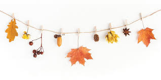 We did not find results for: Adventist Review Online The Unlikely Origin Of Thanksgiving