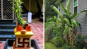 Avoid swings for children or if possible do not let the pet use. Vastu Tips Planting Tulsi Or Banana Tree At Home Keeps The Environment Healthy Astrology News India Tv