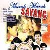 Arena panggang marah marah sayang hd. 1