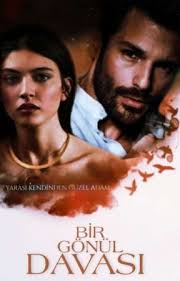 BİR GÖNÜL DAVASI