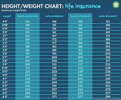 Life Insurance For Overweight Obese People Bmi Rates