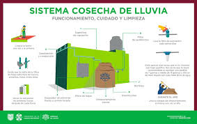 Cdmx aplicará programa de cosecha de lluvia en 529 colonias durante 2021. Azcapotzalco Instalara Sistemas Gratuitos De Cosecha De Agua De Lluvia Almomento Noticias Informacion Nacional E Internacional
