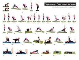 Soaz Muscle Stretch Yahoo Search Results Yoga Sequences Yoga Postures Yoga Poses