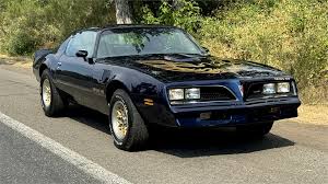 Image result for Aquamarine 1977 Firebird