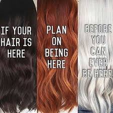 Image Adelekirkwoodx Hair Salon Quotes Hair Stylist Life Hair Humor