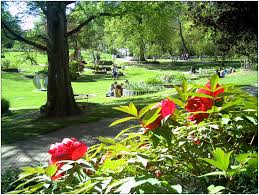 Search over 14 million words and phrases in more than 490 language pairs. Botanischer Garten Freiburg Wikipedia