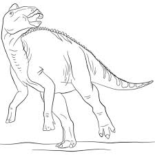 These colors occur naturally in nature and are on the light spectrum, so no color combine to make blue. Dinosaur Coloring Pages With Names Coloringfile Com