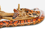 Petco is a popular pet shop, so you can trust them with the price. Snakes For Sale Live Pet Snakes For Sale Petco