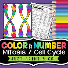 407 biology worksheet templates are collected for any of your needs. Mitosis And The Cell Cycle Color By Number Science Color By Number Review