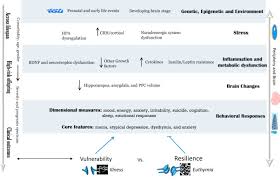 An increased appetite can be a symptom of different diseases. Mood Stabilizers An Overview Sciencedirect Topics