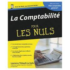 Livre La Comptabilite Pour Les Nuls Pdf Cours Fsjes