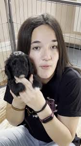 Me podeis seguir en Instagram! ➡ byherrera_yt #comedia #humor  #comediaenespañol #perro #animal #adptar #parati #fyp