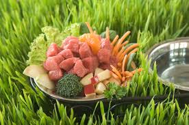 Beef & butternut squash diabetic dog food recipe. K9 Instinct Blog K9 Instinct Holisitic Dog Health Care Blog