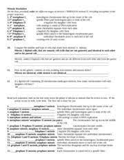Many motivators misconception concerning the material they offer when meeting audiences. Meiosis Worksheet With Answers Meiosis Mitosis Verb Worksheets