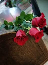 Dedica virtualmente questo mazzo di rose rosse per dimostrare il tuo amore ad una persona lontana solo fisicamente. Crea Un Mazzo Di Rose Rosse Fioreria Floriana Vendita Fiori A Bologna