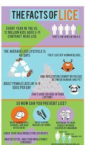 Common Facts About Head Lice How It Spreads Head Louse Lice Facts Fun Health Facts
