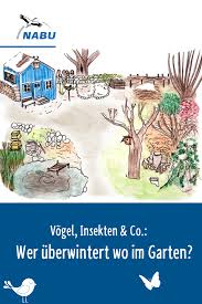 Wer Uberwintert Wo Im Garten Nabu Naturgarten Garten Vogel Im Garten