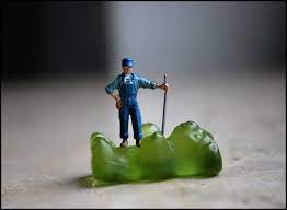 Tiny People Living In A Giant Adventurous World Miniature Photography Little People Small People